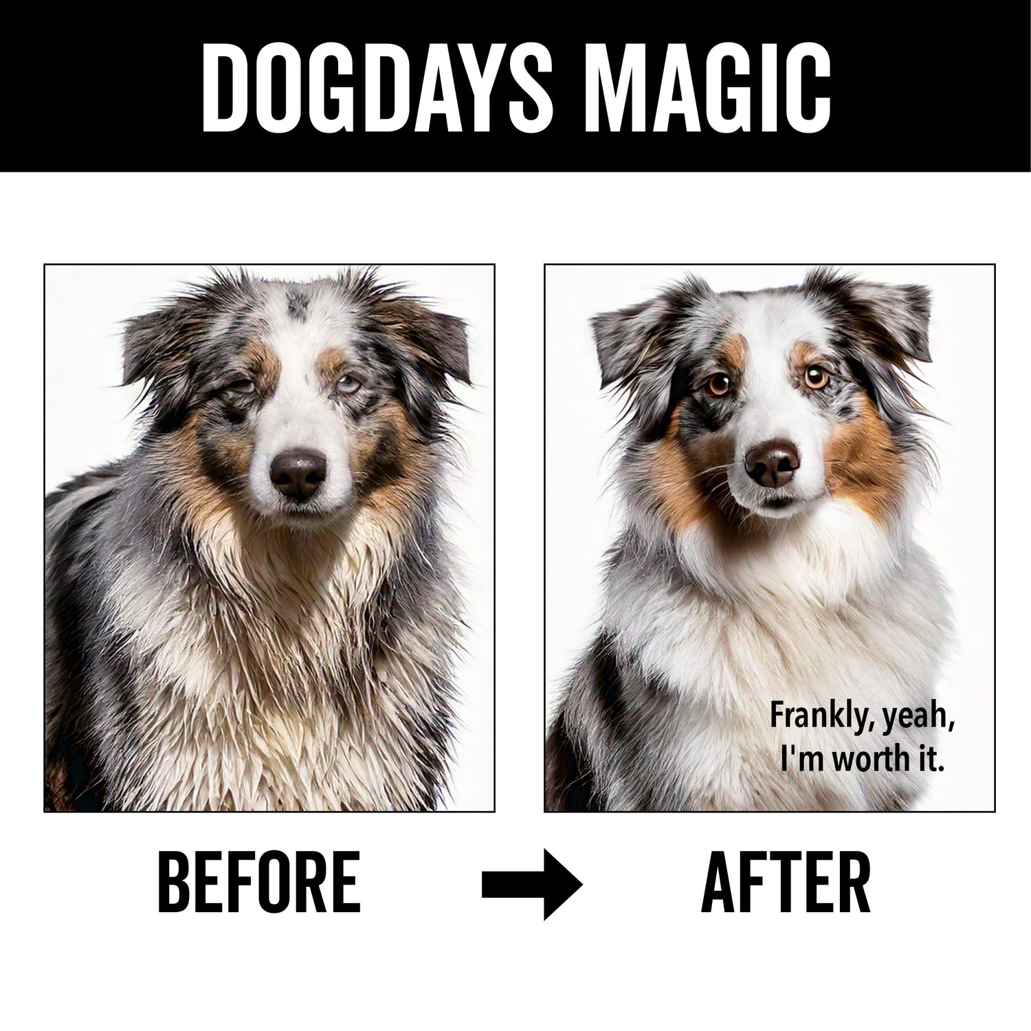 DOGDAYS De-Shedding Dog Shampoo