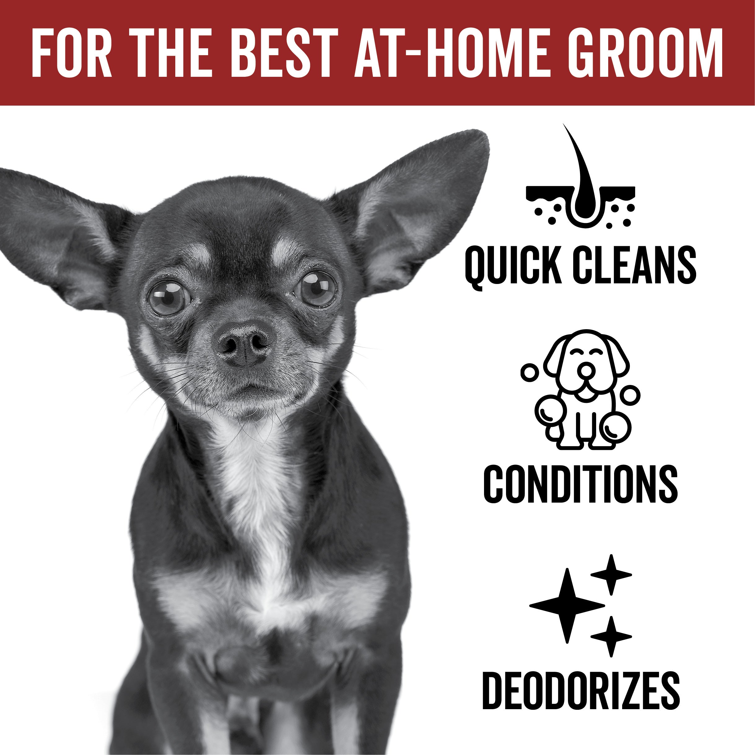 DOGDAYS Waterless Foaming Shampoo
