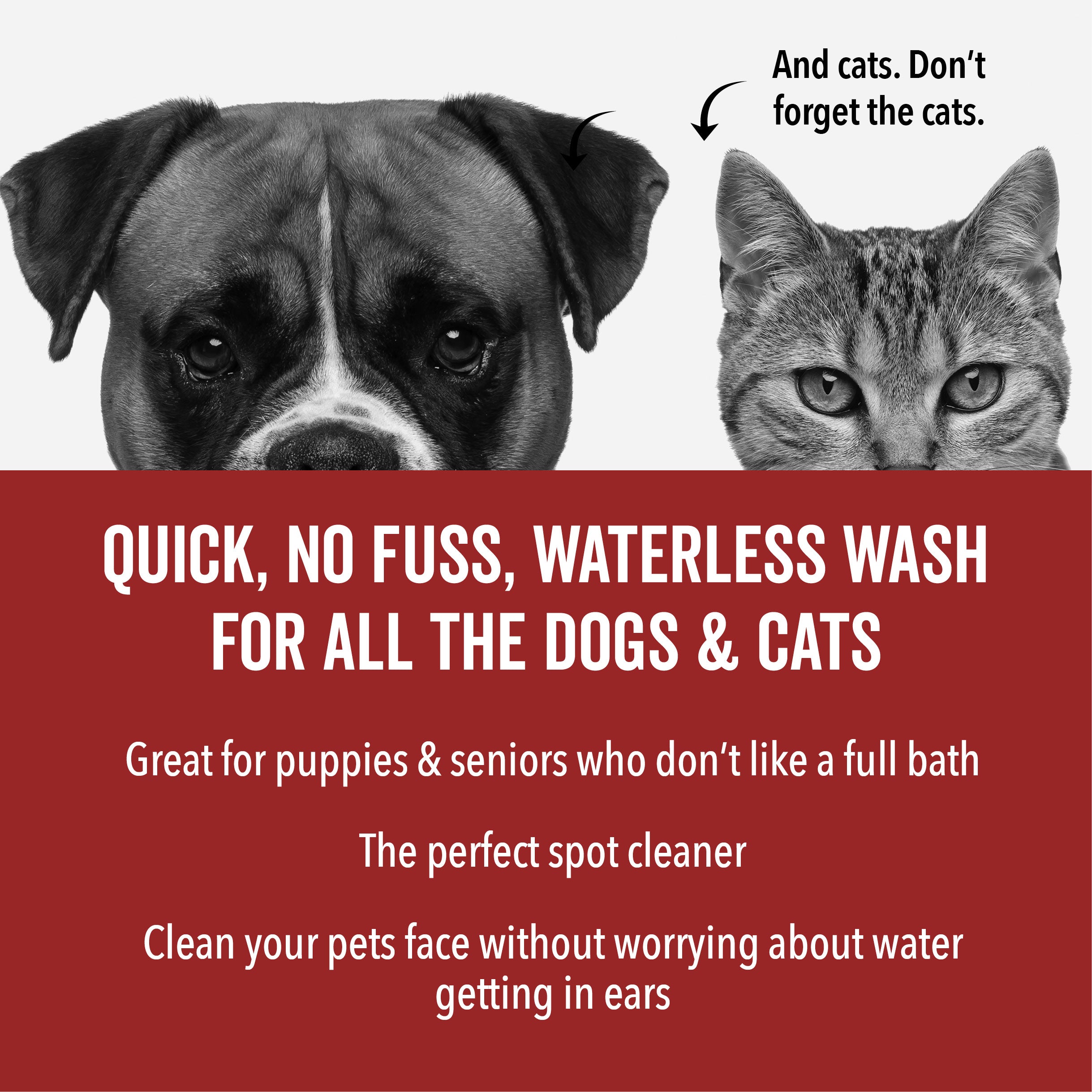 DOGDAYS Waterless Foaming Shampoo