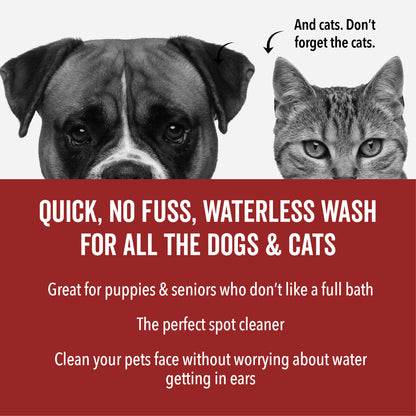 DOGDAYS Waterless Foaming Shampoo