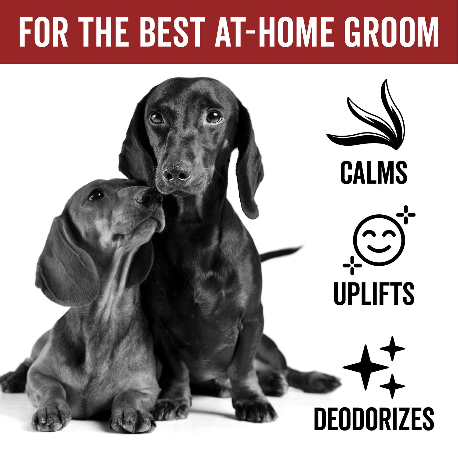 DOGDAYS Dog Deodorizing Spray