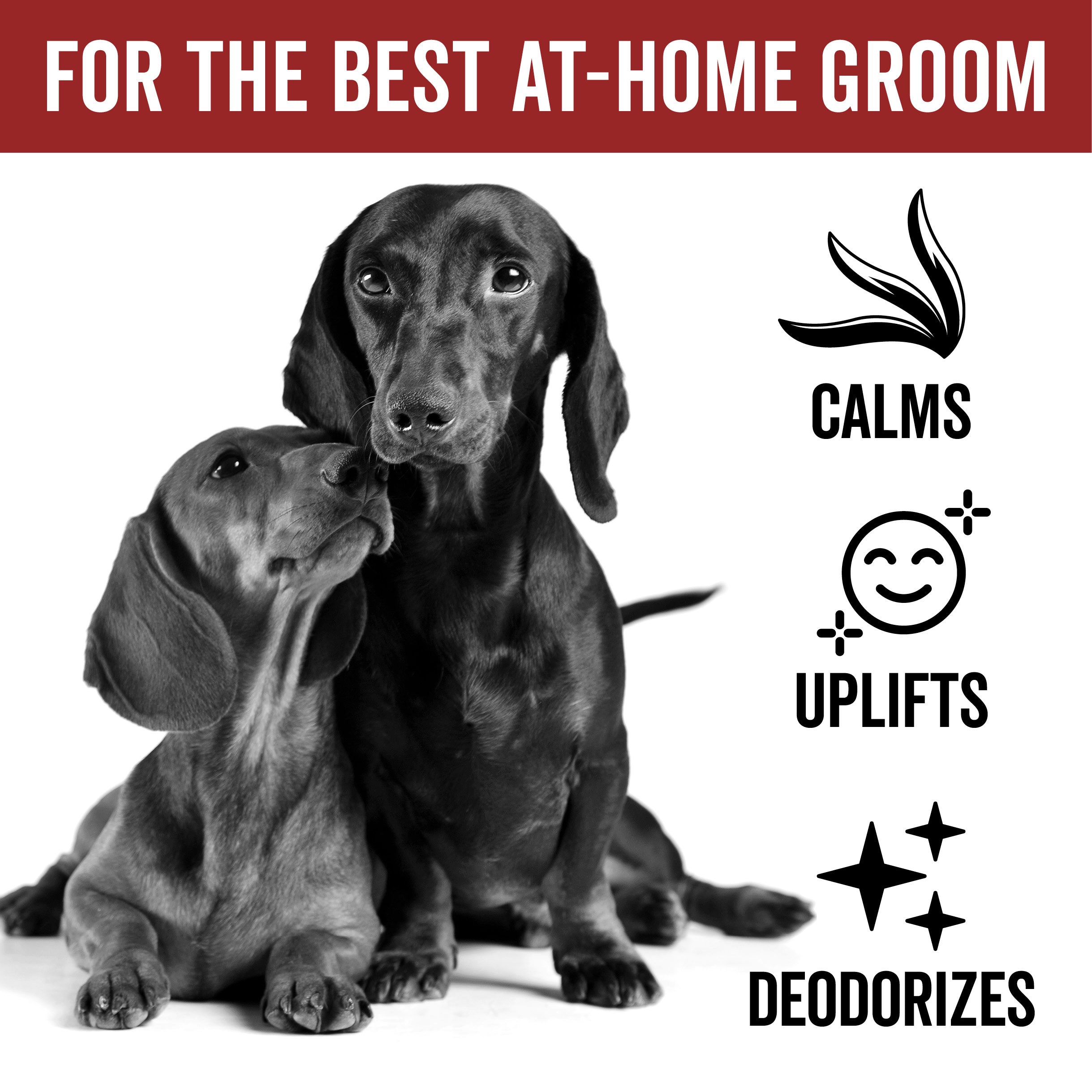 DOGDAYS Dog Deodorizing Spray