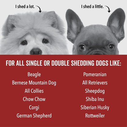 THE SCRUB KIT - Deshedding Shampoo for Dogs Who Shed