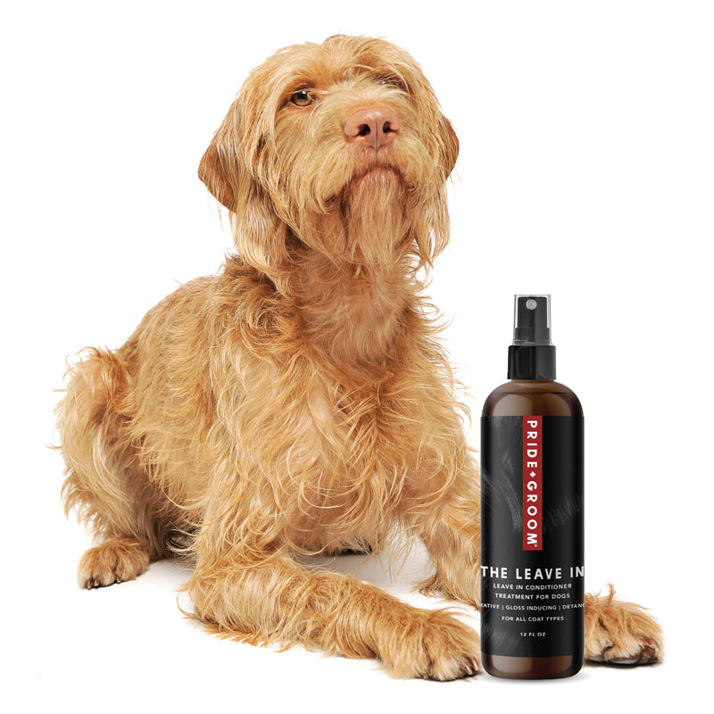 Best leave in conditioner 2025 for dogs dry skin