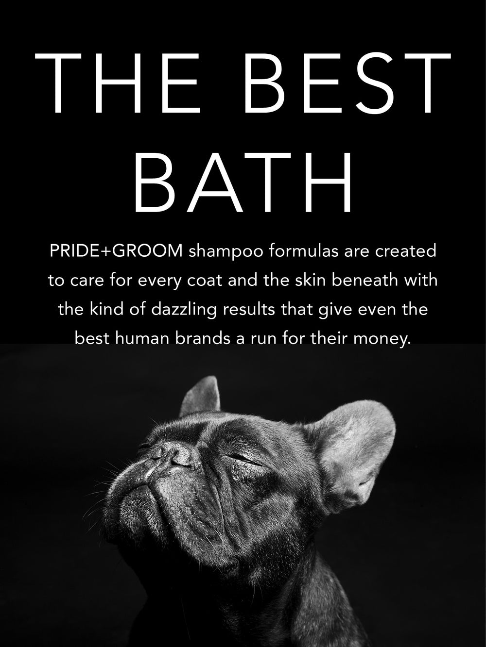 Dog Shampoos Coat Specific Luxury Shampoo Pride+Groom