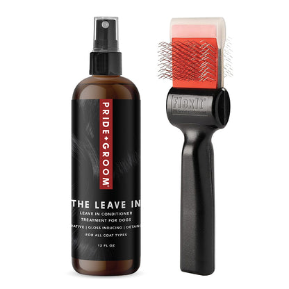 THE BRUSH + FINISH DUO
