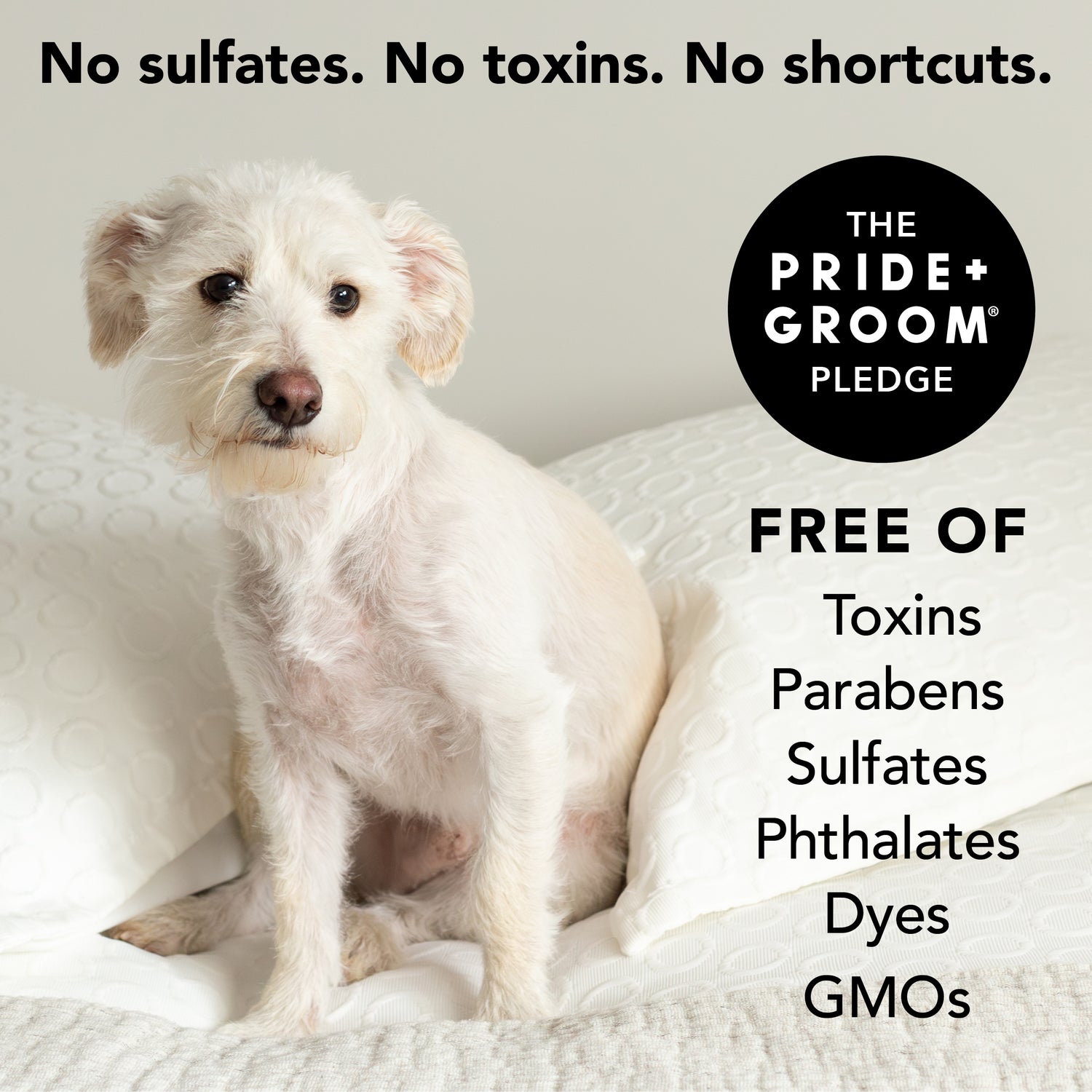 THE NON SHEDDER GALLON REFILL
