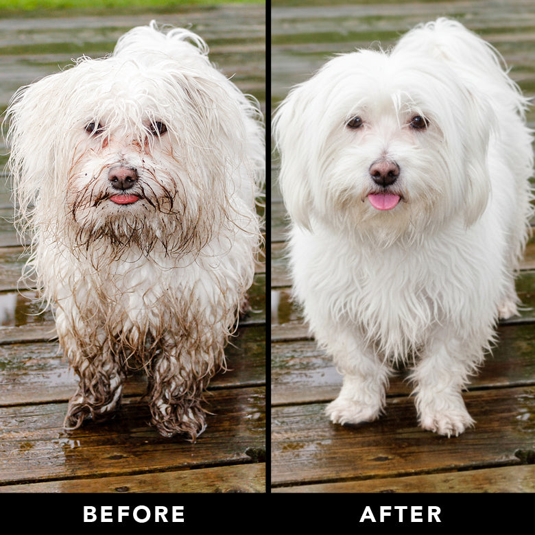 THE NON SHEDDER Dog Shampoo