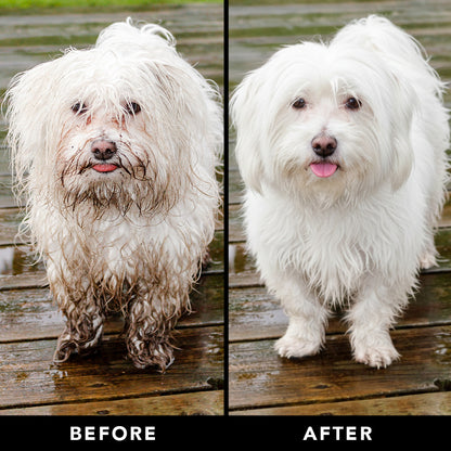 THE NON SHEDDER Dog Shampoo