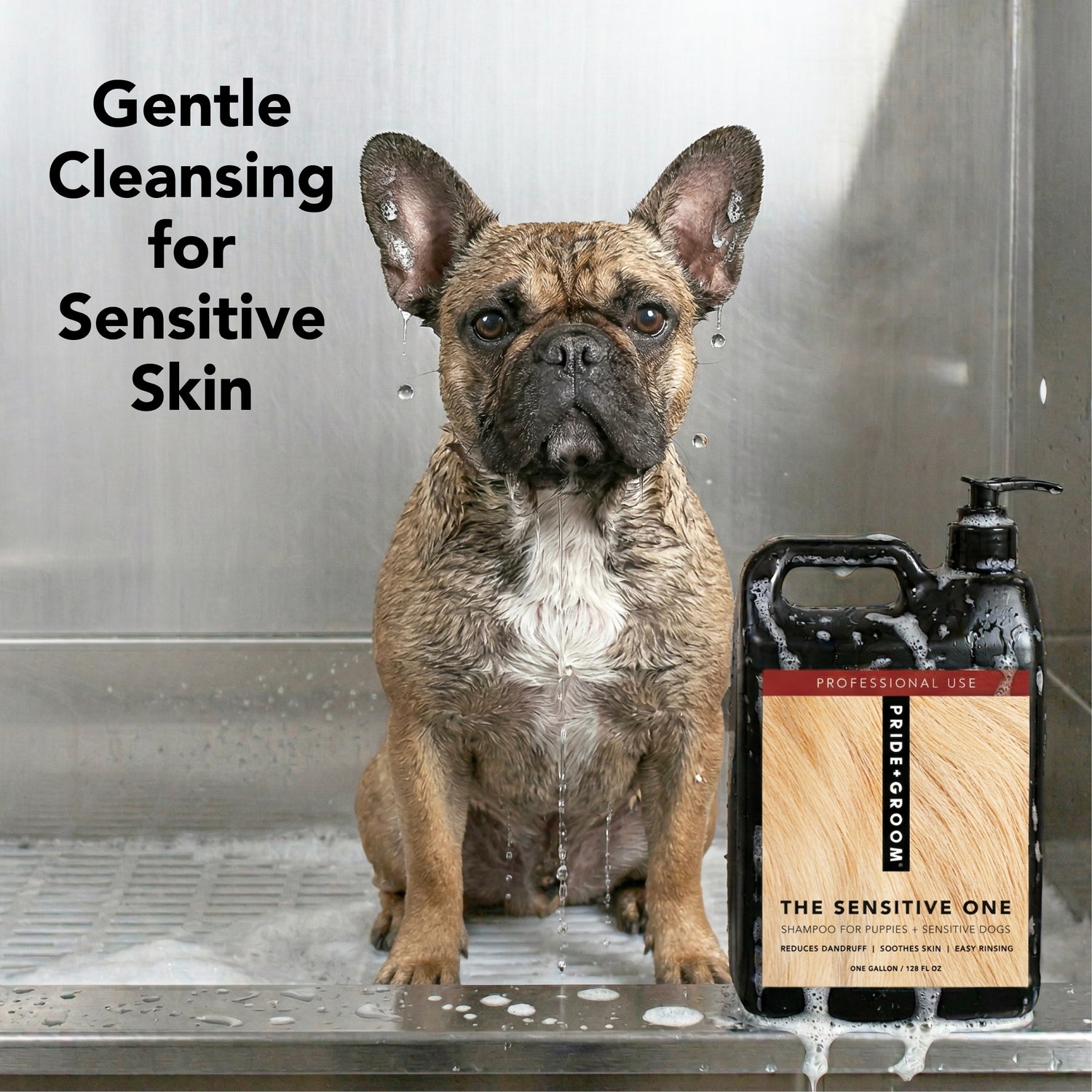 THE SENSITIVE ONE GALLON REFILL