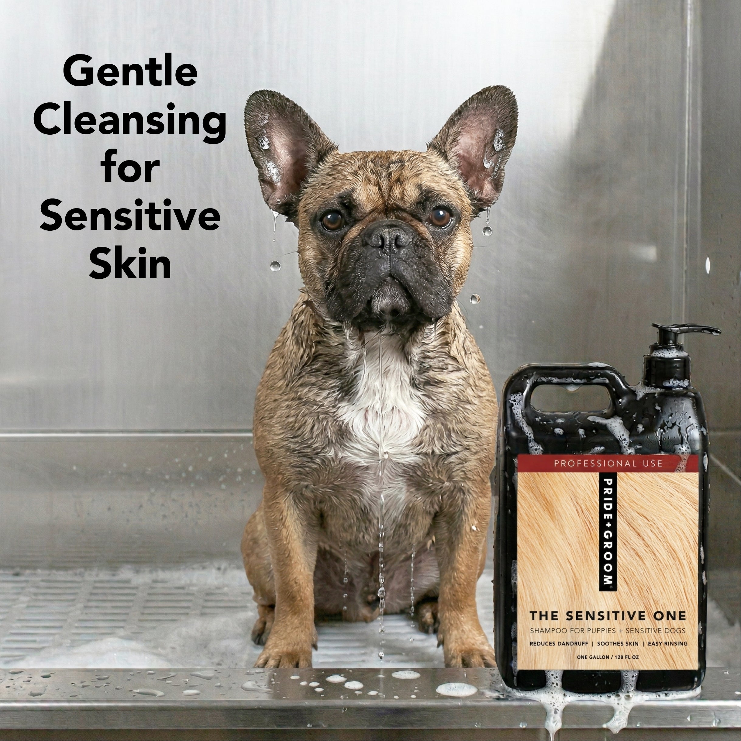 THE SENSITIVE ONE GALLON REFILL