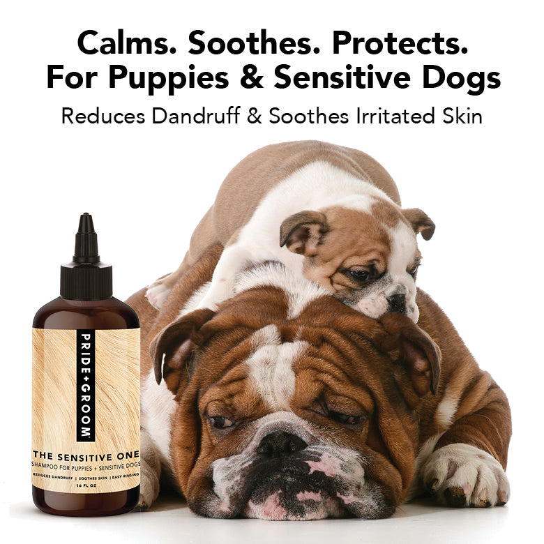 THE SENSITIVE ONE Dog Shampoo