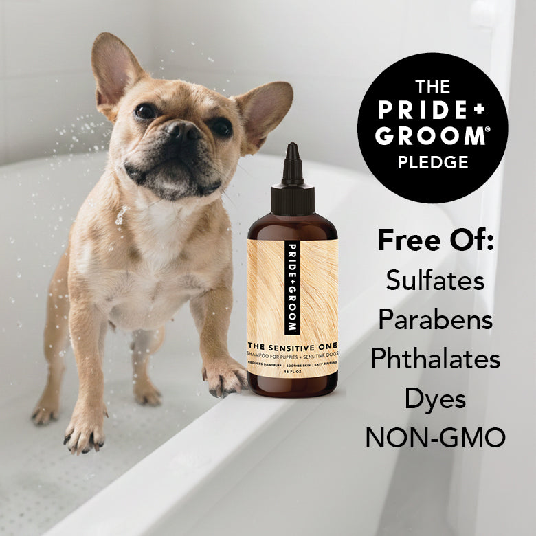 THE SENSITIVE ONE Dog Shampoo