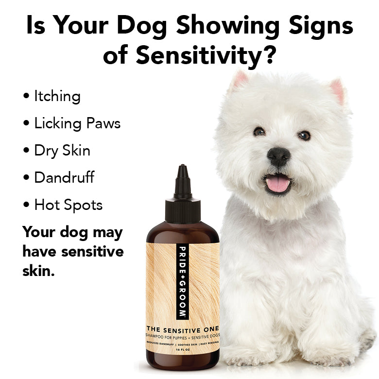 THE SENSITIVE ONE Dog Shampoo