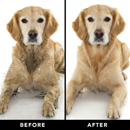 THE SENSITIVE ONE Dog Shampoo