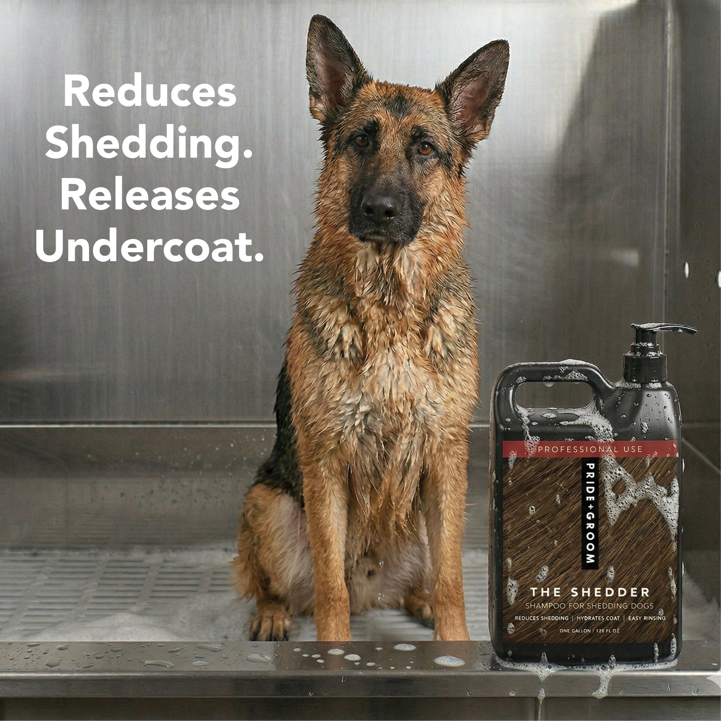 THE SHEDDER GALLON REFILL