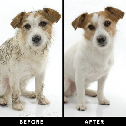 THE SHEDDER Dog Shampoo