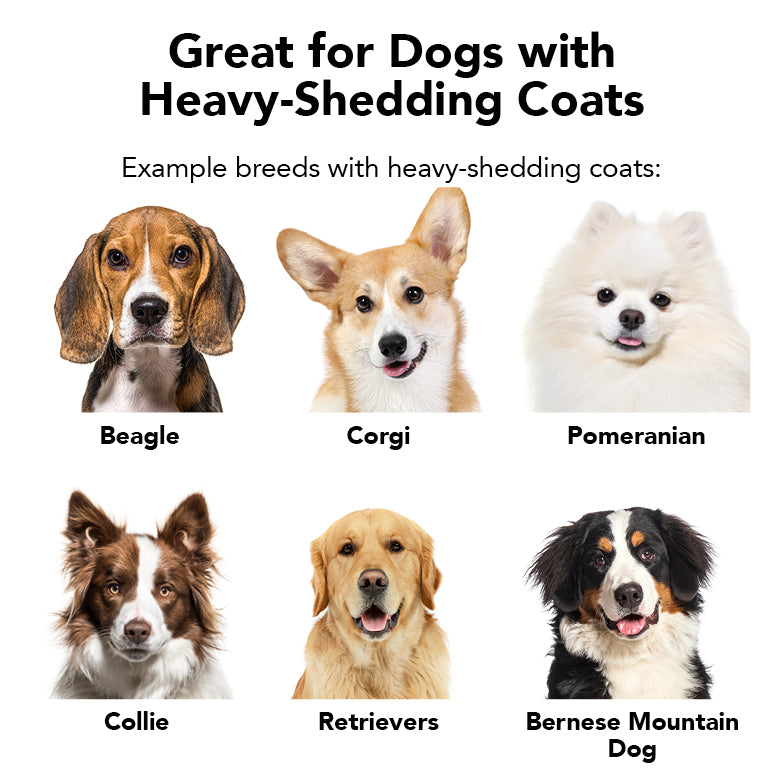 THE SHEDDER Dog Shampoo