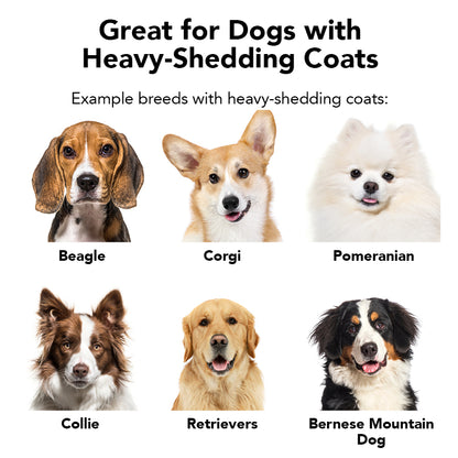 THE SHEDDER Dog Shampoo