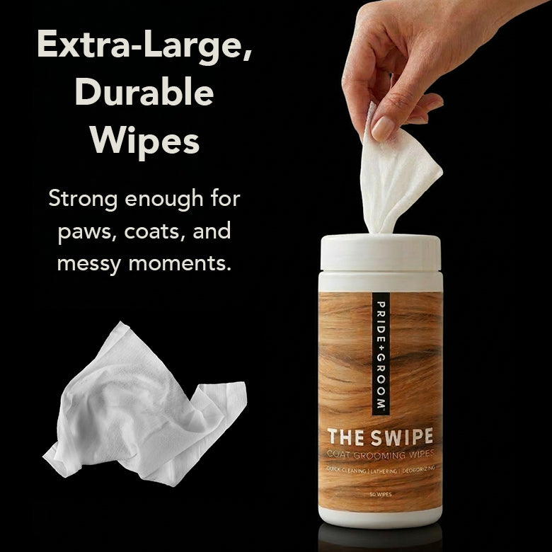 THE SWIPE