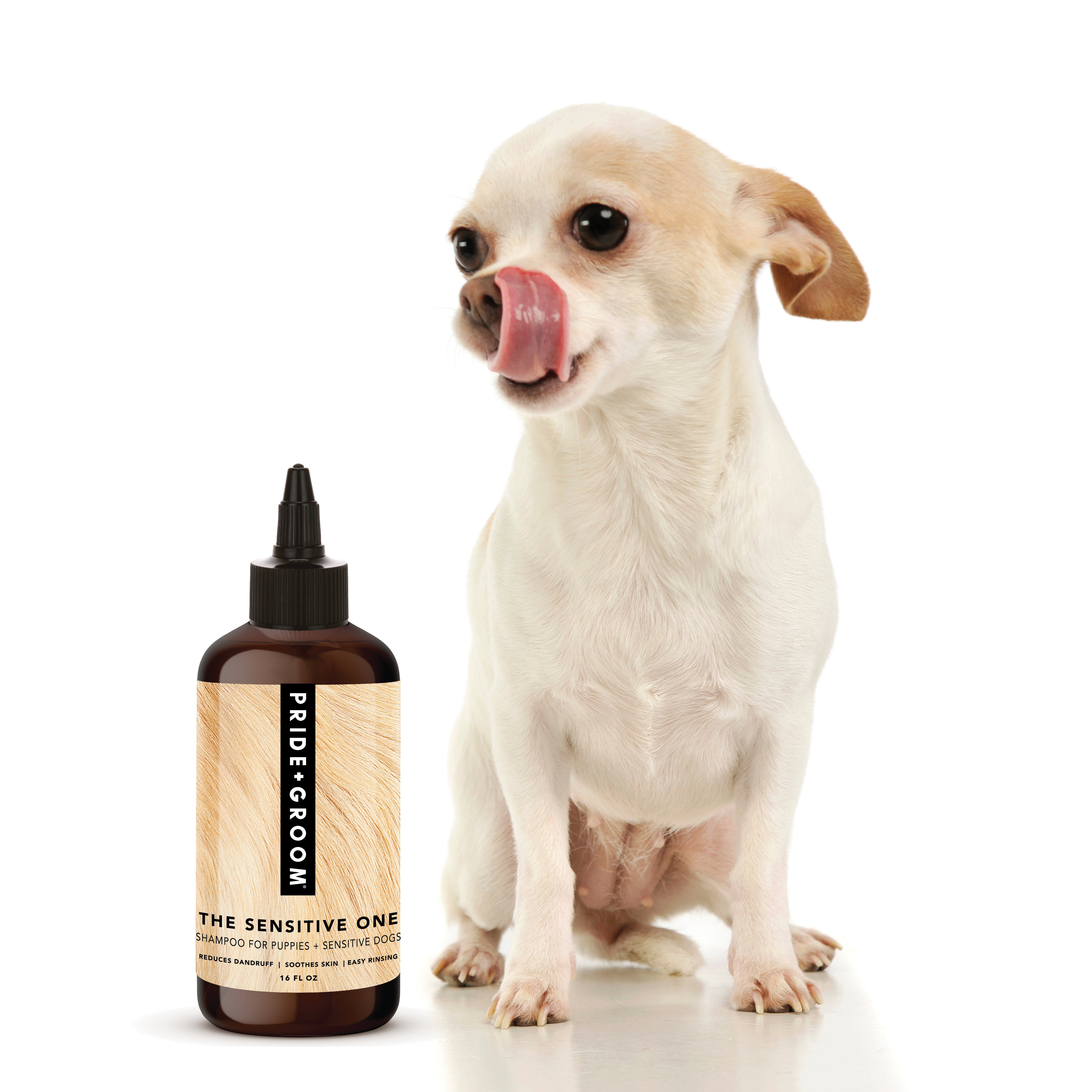 Is regular shampoo outlet good for dogs