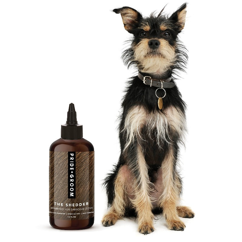 Shampoo for dogs that shed store a lot