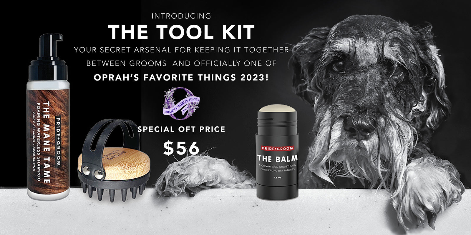 Favorite Things 2023: best pet grooming products | Pride+Groom