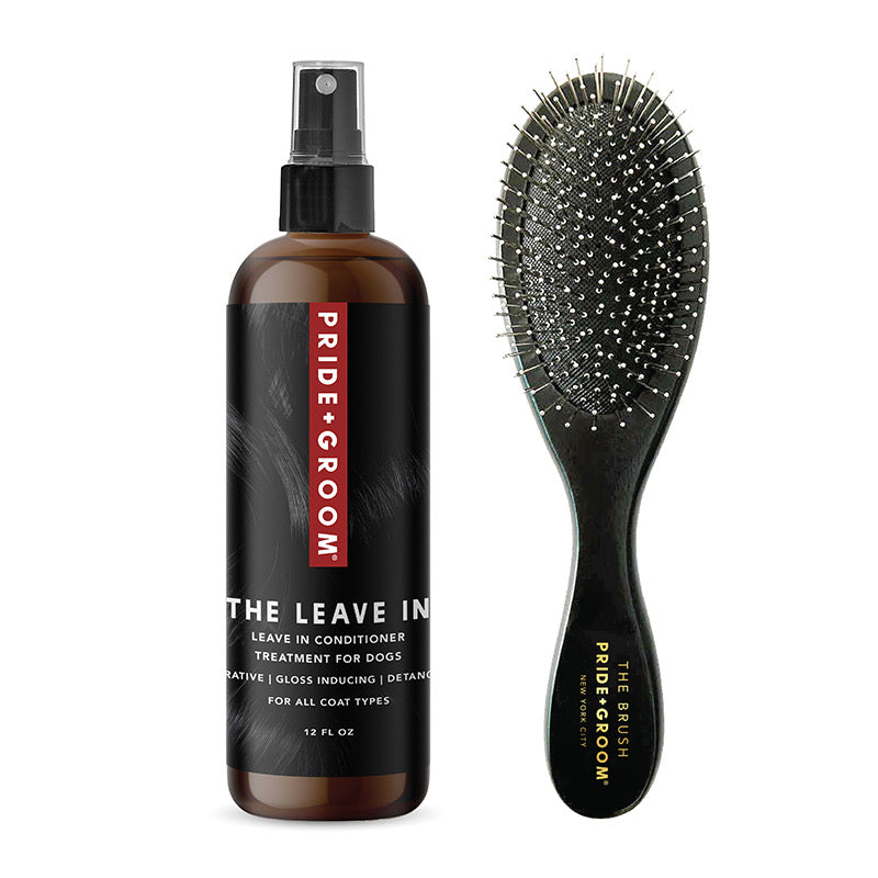 THE LEAVE IN + THE ONLY BRUSH